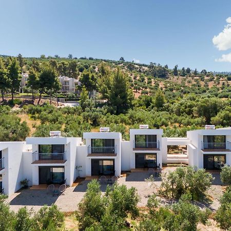 Olea Villas By Halu!, Cozy Villa In Nikiti Lagomandra Exterior photo
