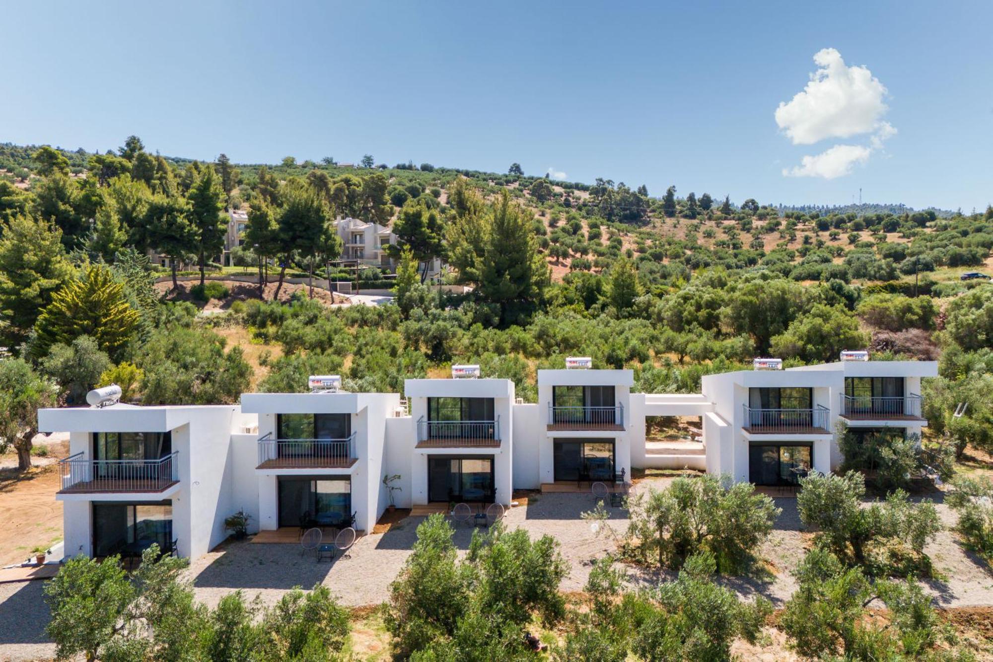 Olea Villas By Halu!, Cozy Villa In Nikiti Lagomandra Exterior photo