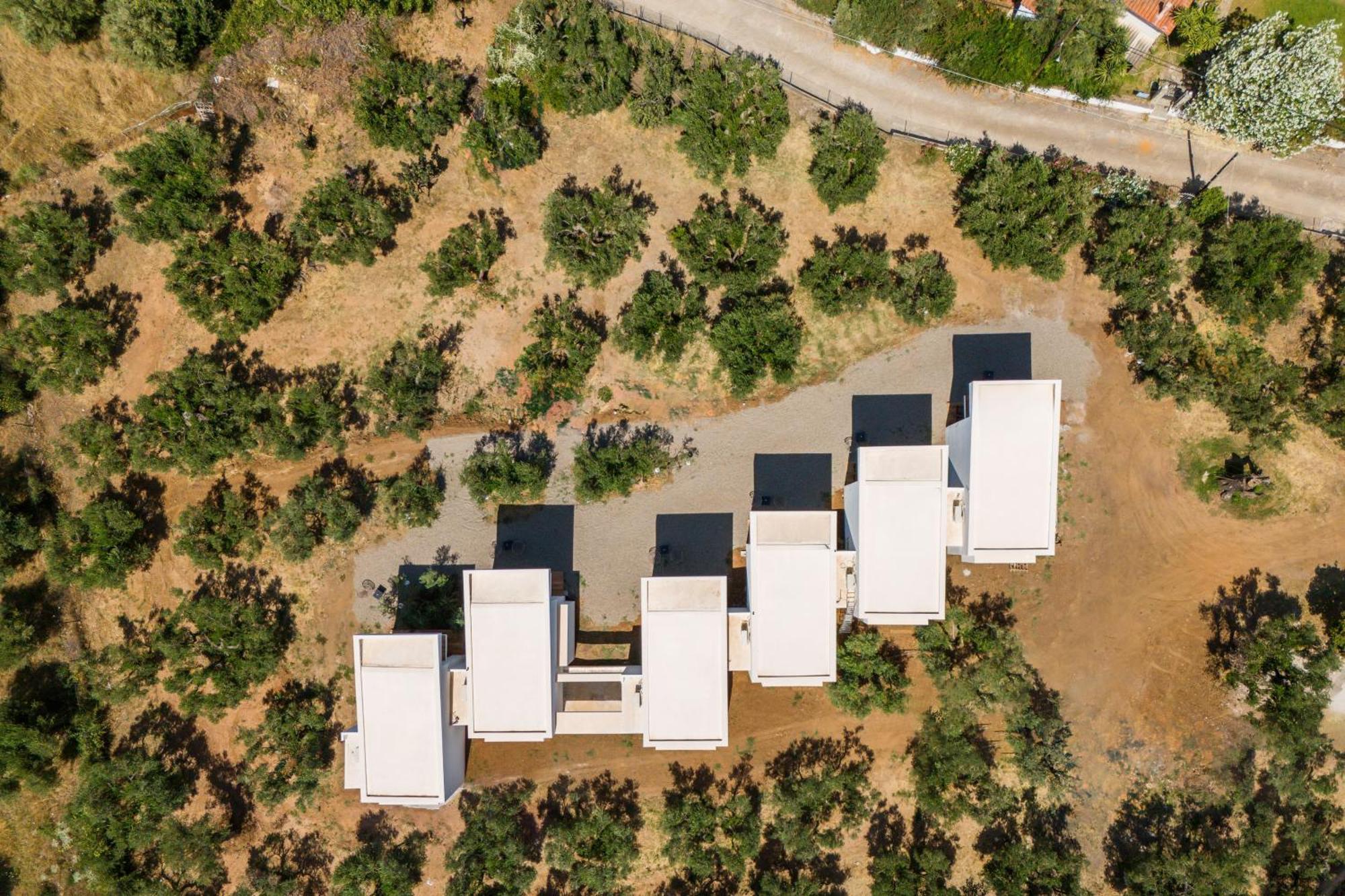 Olea Villas By Halu!, Cozy Villa In Nikiti Lagomandra Exterior photo