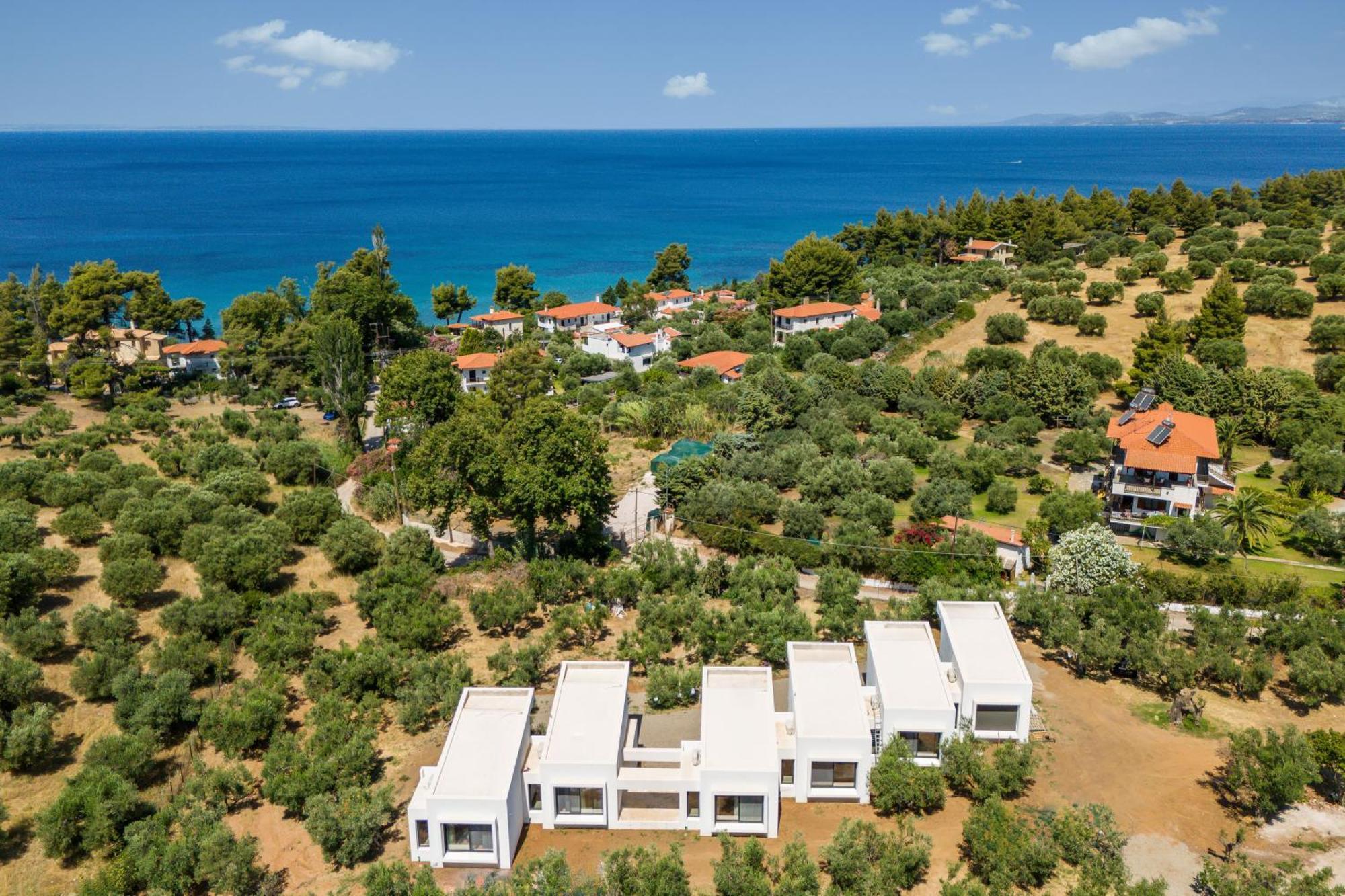 Olea Villas By Halu!, Cozy Villa In Nikiti Lagomandra Exterior photo
