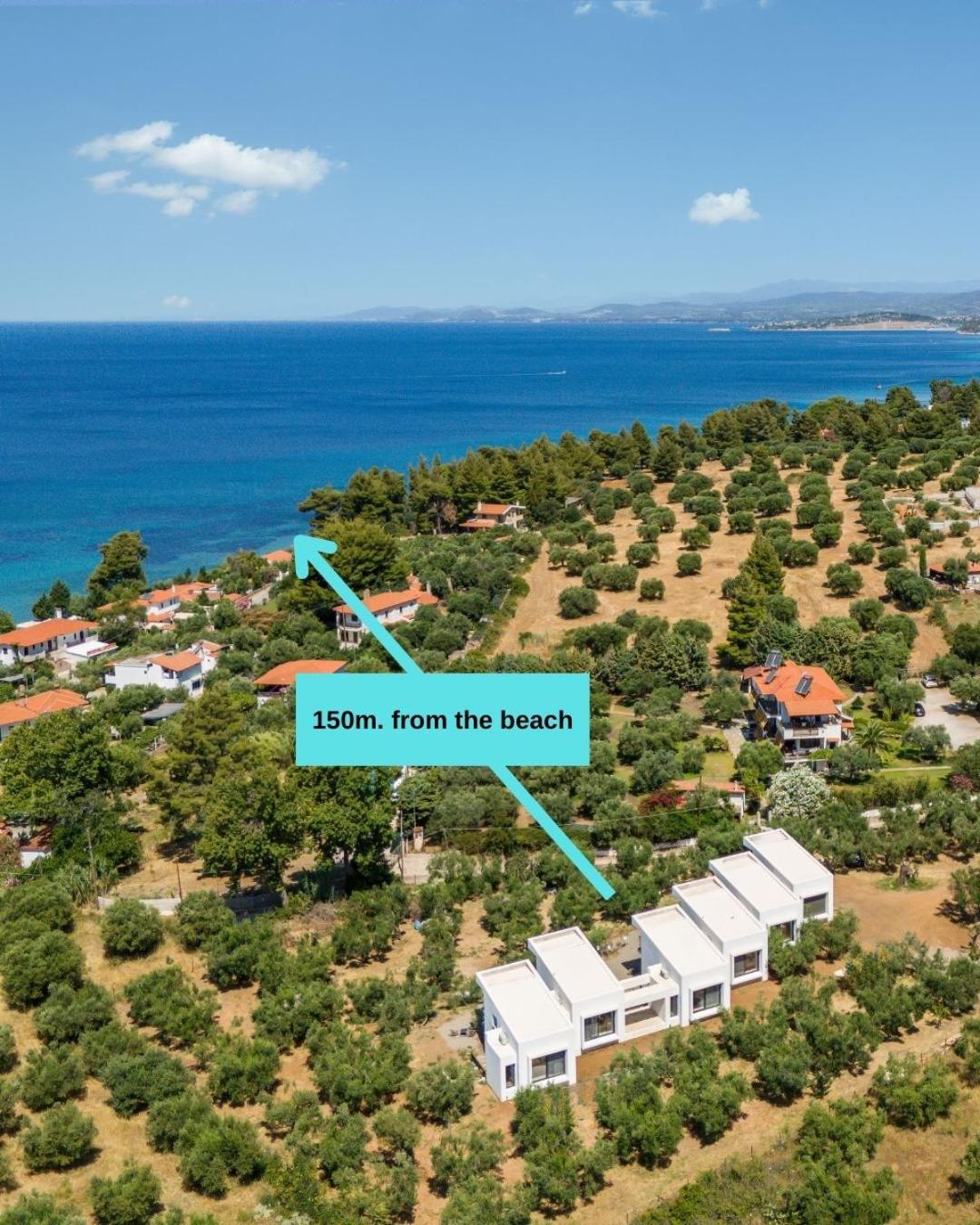 Olea Villas By Halu!, Cozy Villa In Nikiti Lagomandra Exterior photo